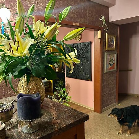 Art Pension Dans Le Parc Besztercebánya Kültér fotó